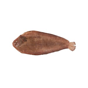 Lenguado sin limpiar