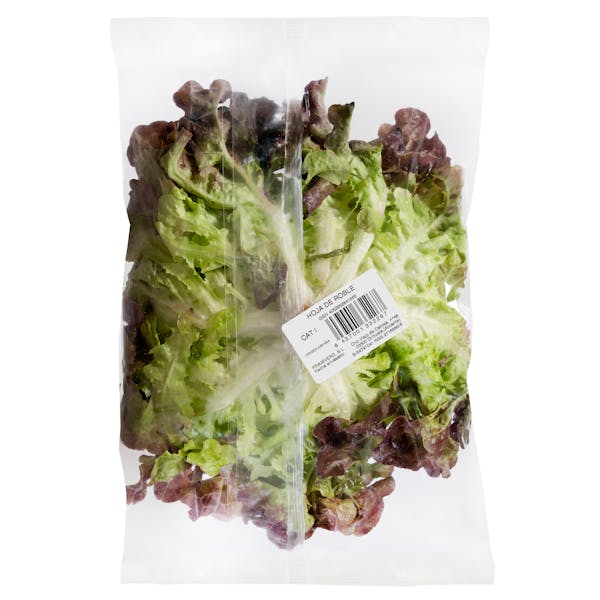 Lechuga hoja roble