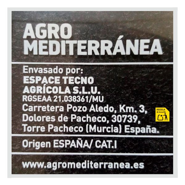 Lechuga hoja roble