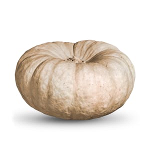 Calabaza para asar