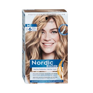 Mechas Nordic de rubio medio a castaño oscuro M1