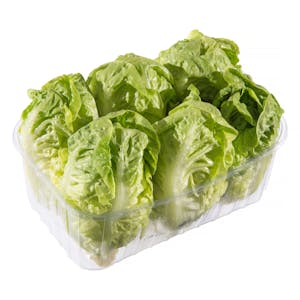 Cogollos corazón de lechuga