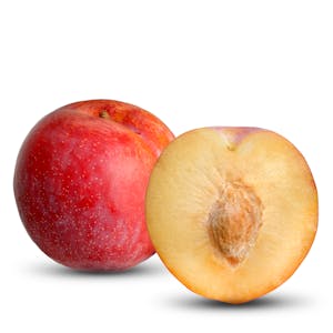 Red plum