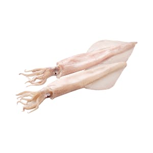 Imagen de Calamar mediano sin limpiar