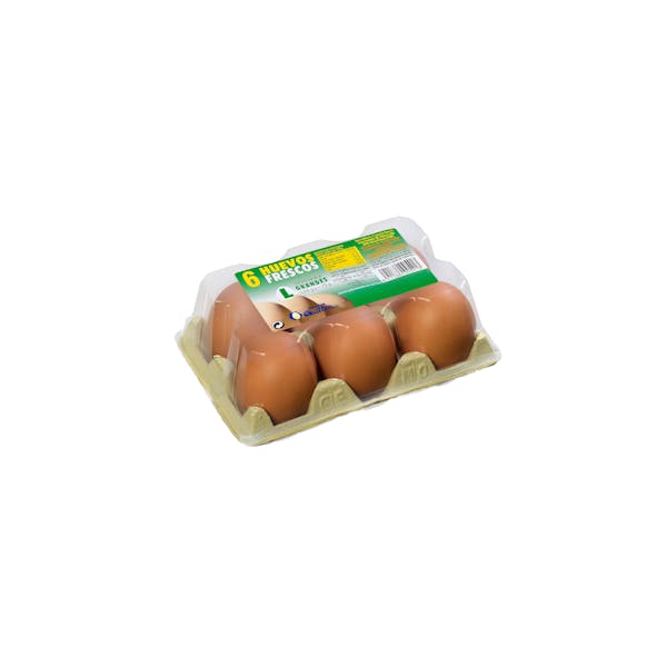 Huevos grandes L 6 ud. en Mercadona