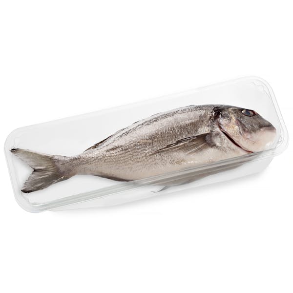Dorada limpia