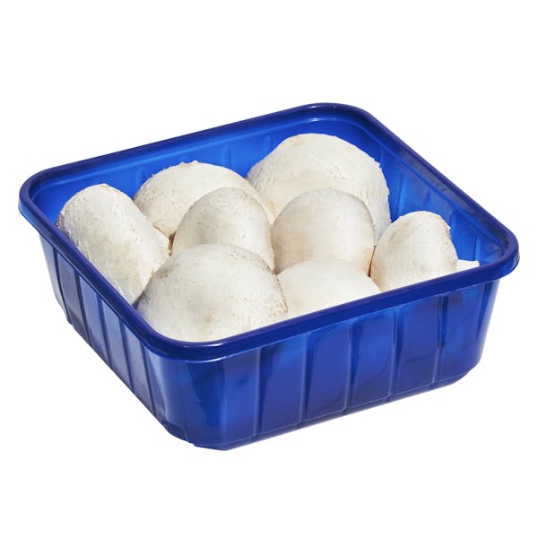 Champiñones grandes