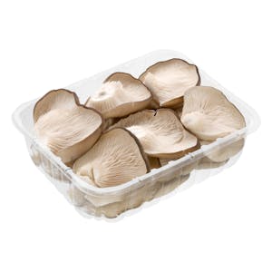 Setas Bandeja