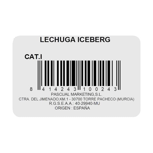 Lechuga Iceberg