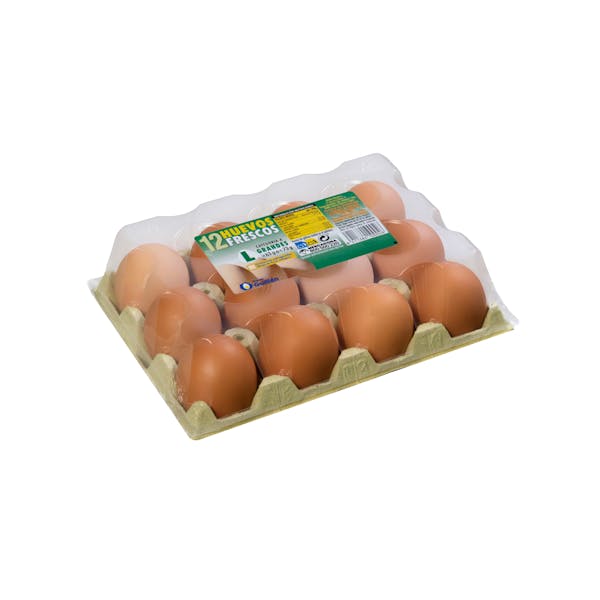 Huevos grandes L 12 ud. en Mercadona