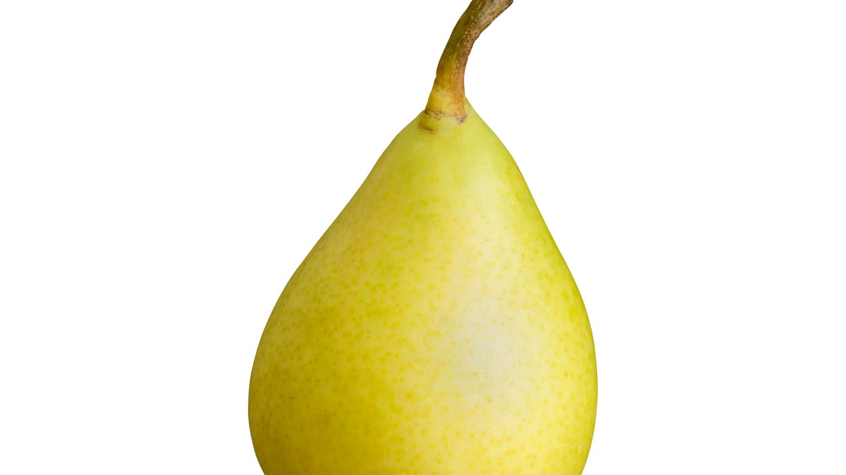 Pera Ercolina