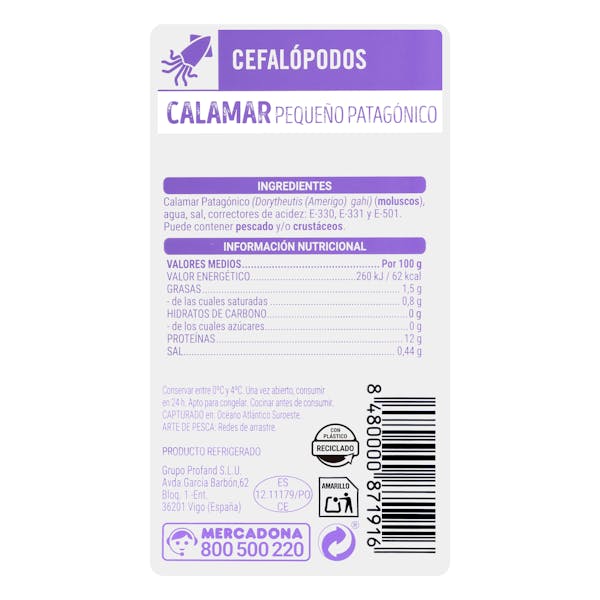 Calamar pequeño limpio patagónico