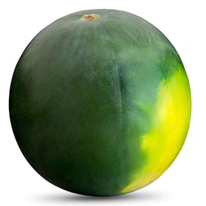 Sandía baja en semillas