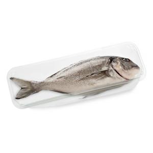 Clean sea bream