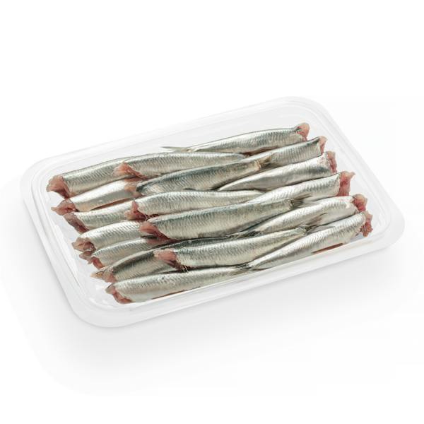 Boquerón limpio sin cabeza