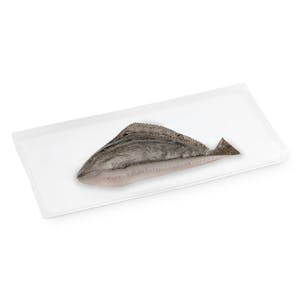 Half turbot