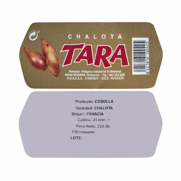 Chalotas