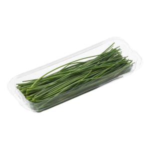 Cebollino