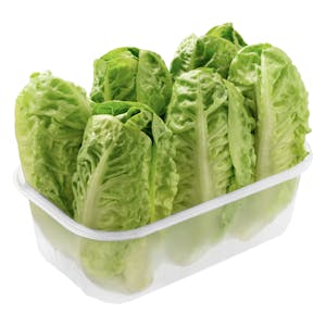 Imagen de Cogollos corazón de lechuga