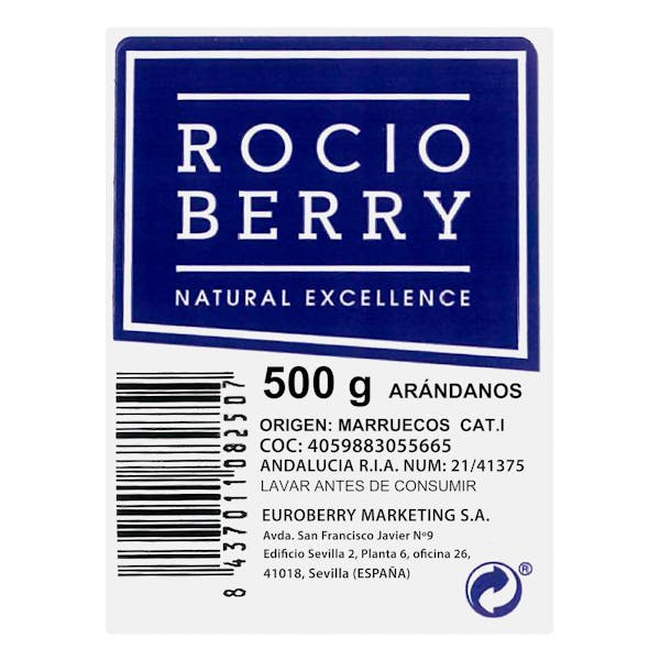 Arándanos