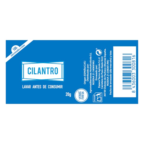 Cilantro
