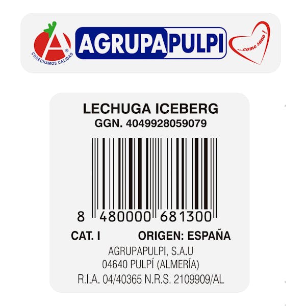 Lechuga Iceberg