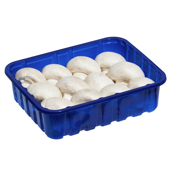 Champiñones pequeños