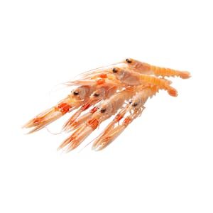 Cigala pequeña