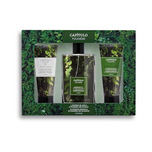 Lote hombre Capítulo Fougère