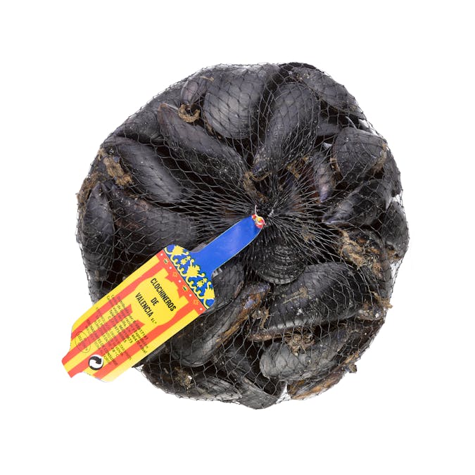 Clóchina Valenciana