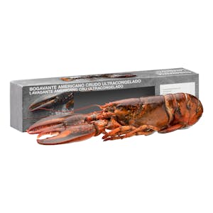 Bogavante americano mediano crudo Hacendado Pieza