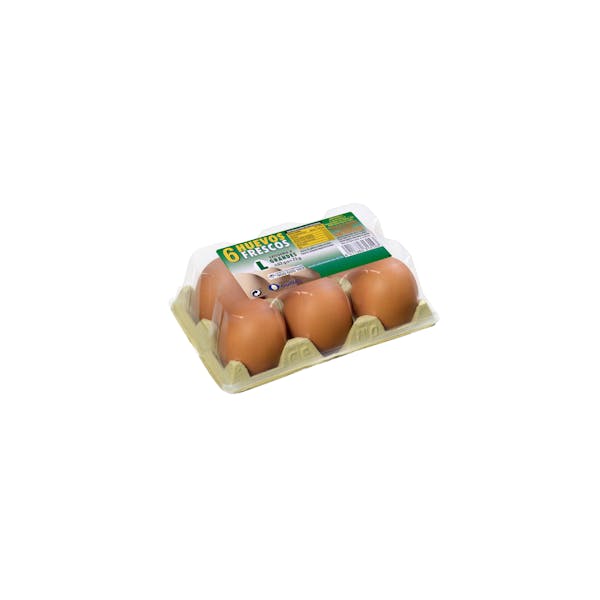 Huevos grandes L