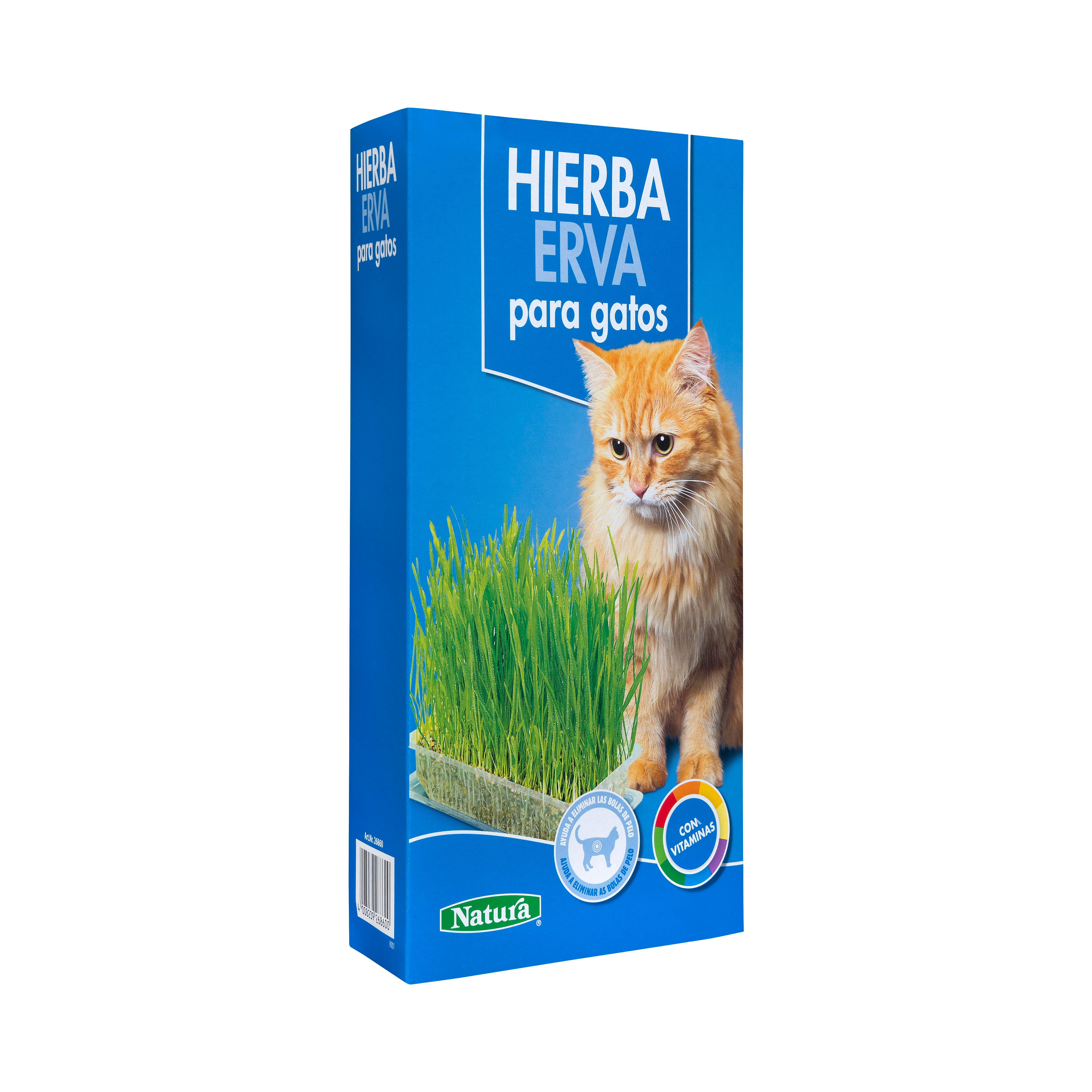 hierba para gatos de Mercadona
