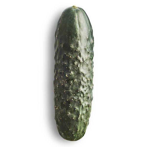 Pepino