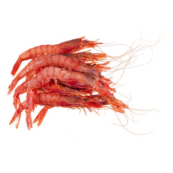 Alistado pequeño congelado