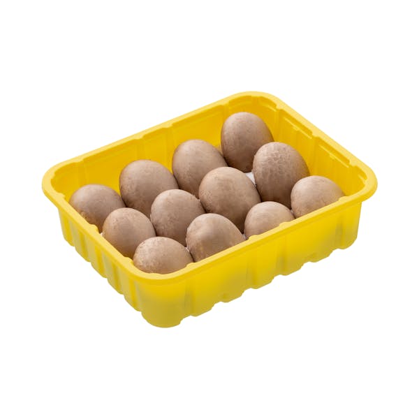 Champiñones Portobello