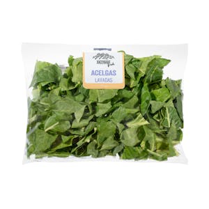 Washed cut chard