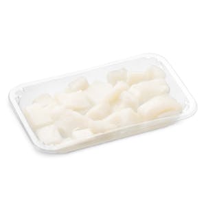 Sepia troceada Faraónica