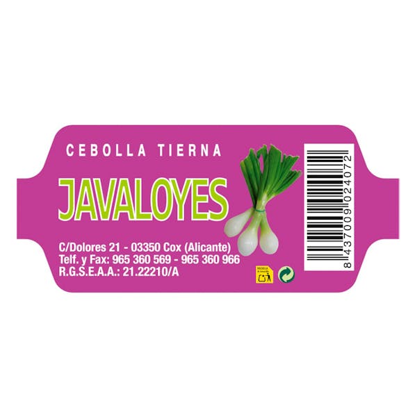 Cebollas tiernas
