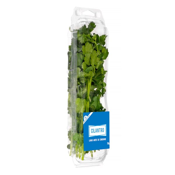 Cilantro