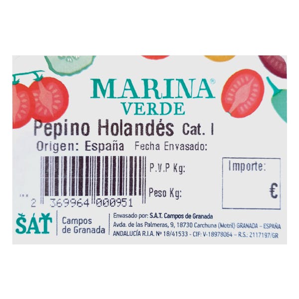 Pepino holandés
