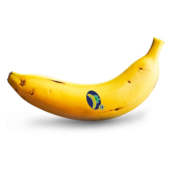 Plátano de Canarias IGP