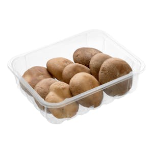 Setas shiitake