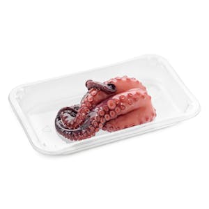 Cooked octopus