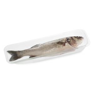 Clean sea bass