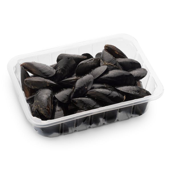 Imagen de Clóchina Valenciana