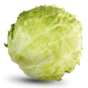 Lechuga iceberg