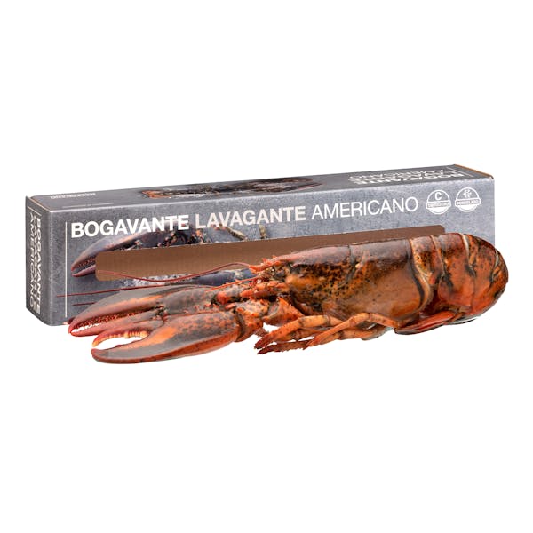 Bogavante americano mediano crudo Hacendado