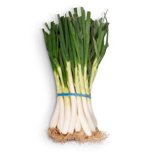Calçots 25 UD