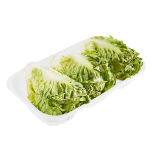 Cogollos de lechuga